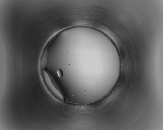 X0000096720999200802191524