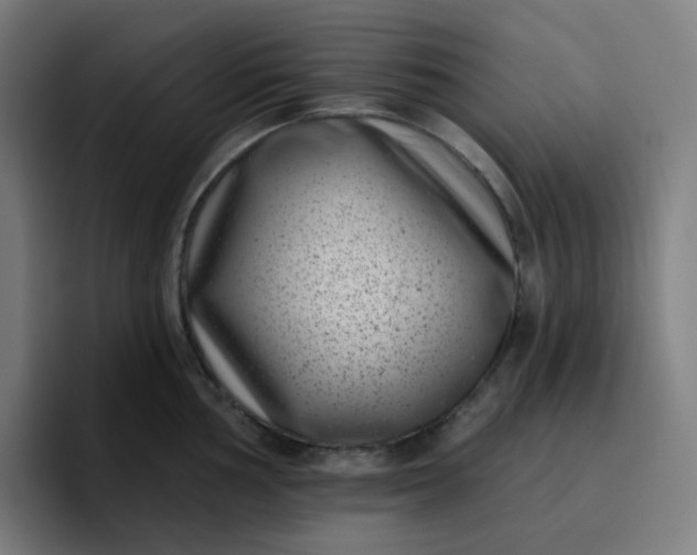 X0000096721002200802191524