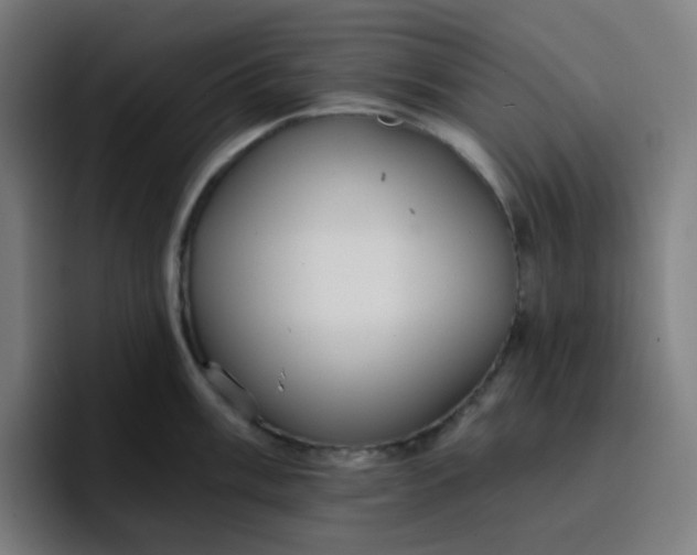 X0000096721003200802191524