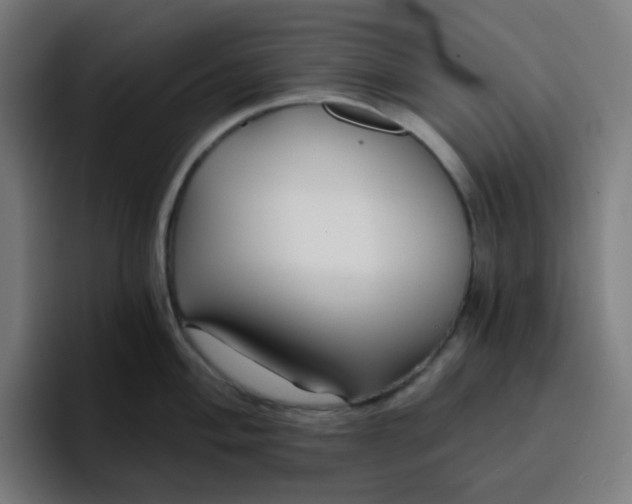 X0000096721004200802191524