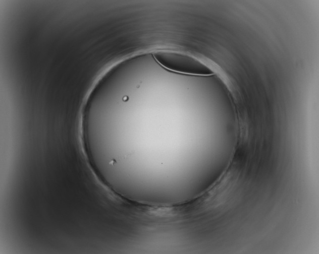 X0000096721006200802191524