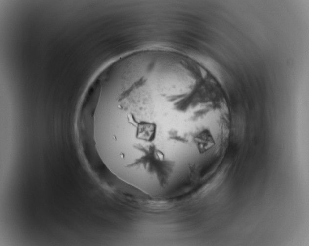 X0000096721007200802191524