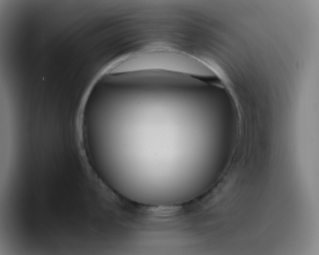 X0000096721008200802191524