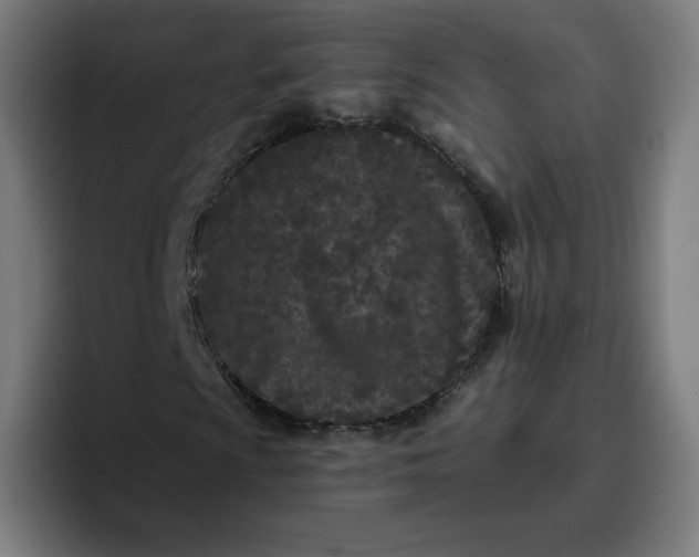 X0000096721009200802191524