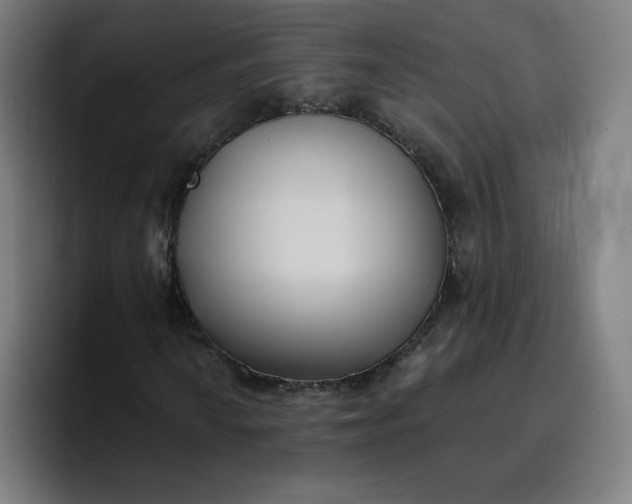 X0000096721010200802191524