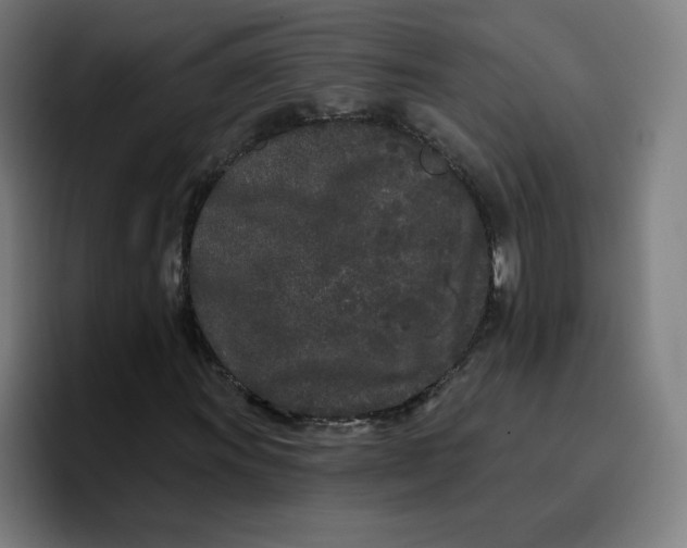 X0000096721011200802191524