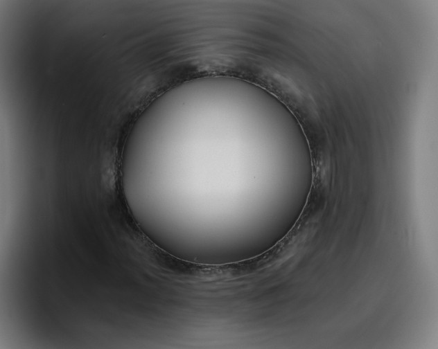 X0000096721012200802191524