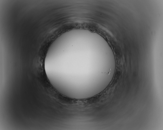 X0000096721013200802191524