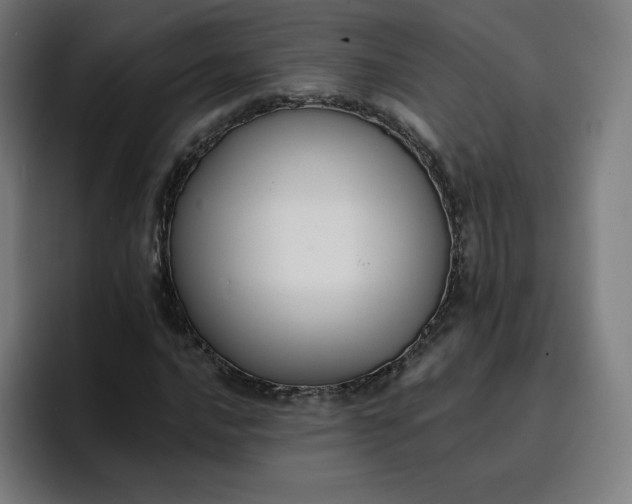 X0000096721016200802191524