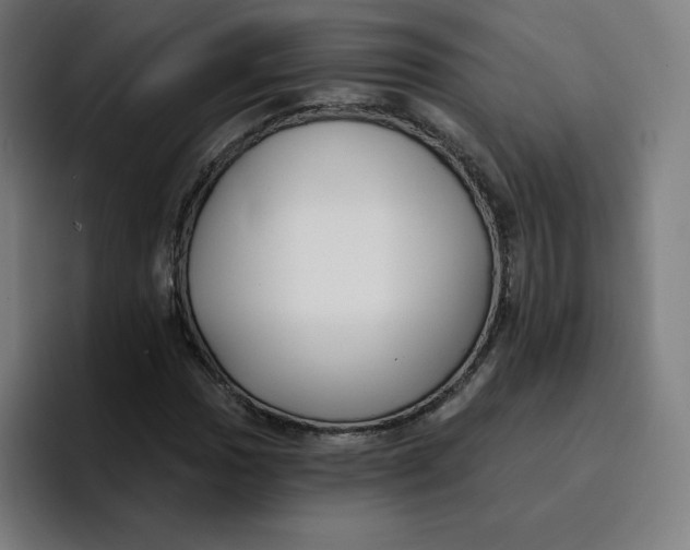 X0000096721017200802191524