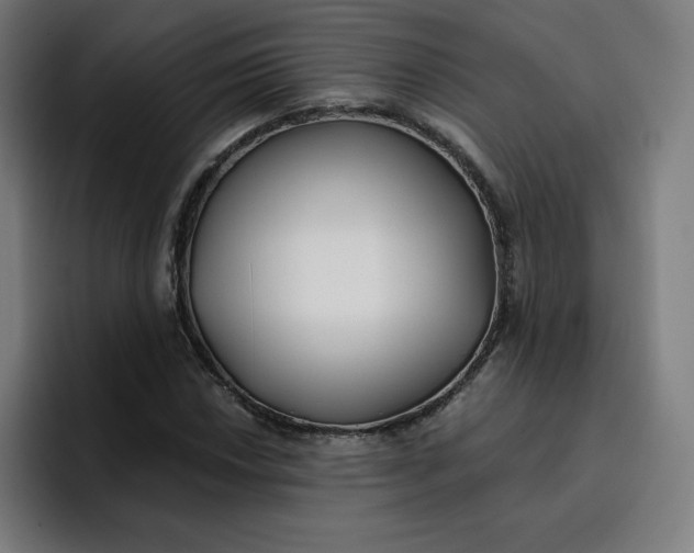 X0000096721018200802191524