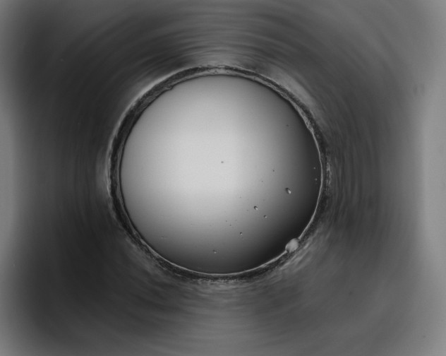 X0000096721020200802191524