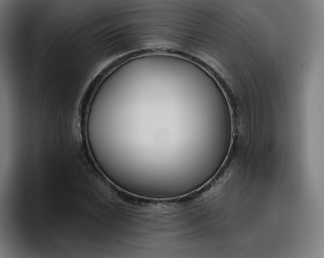 X0000096721022200802191524