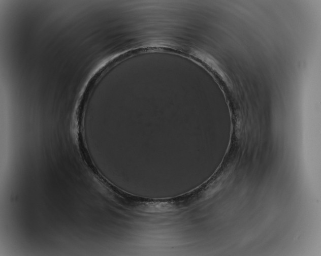 X0000096721024200802191524