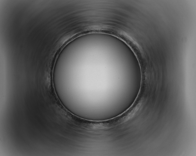 X0000096721025200802191524