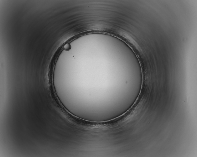 X0000096721026200802191524