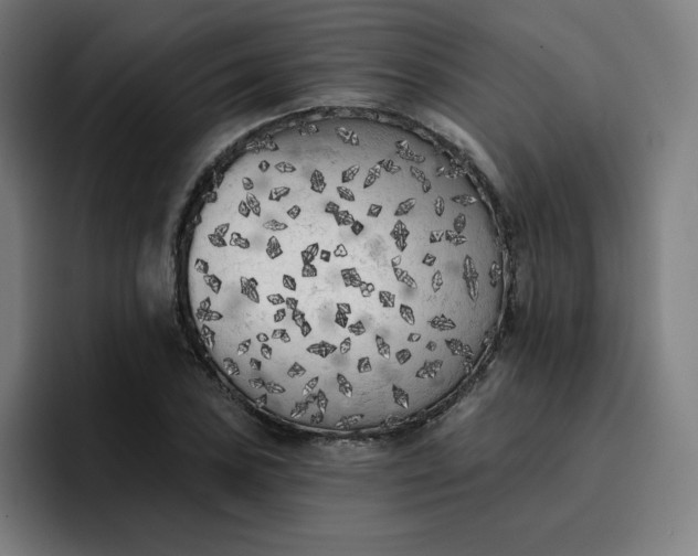 X0000096721027200802191524