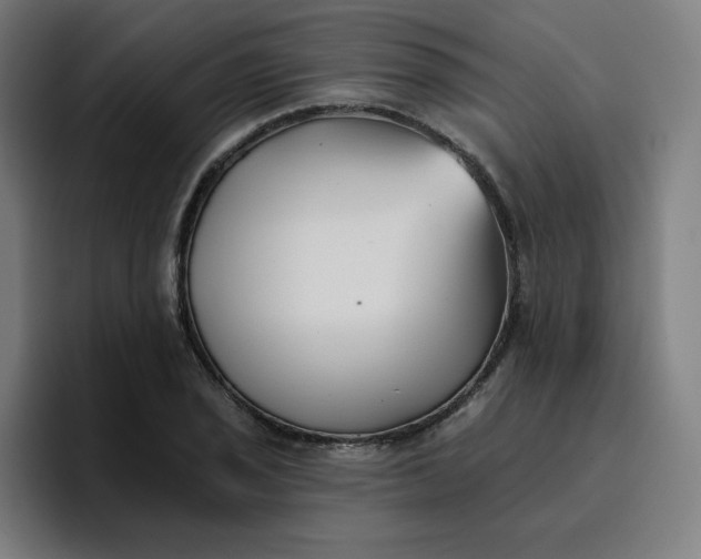 X0000096721029200802191524