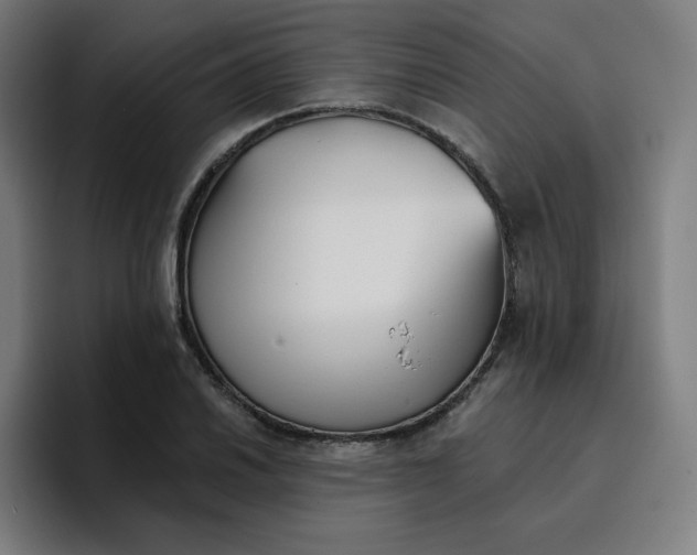 X0000096721030200802191524