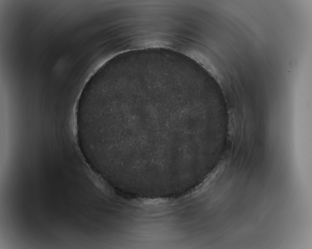 X0000096721031200802191524