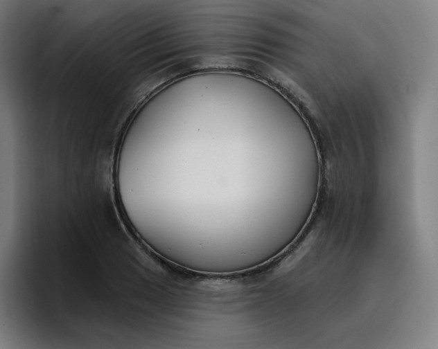 X0000096721033200802191524