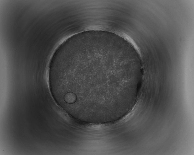 X0000096721035200802191524