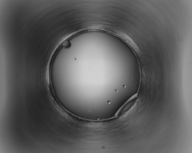 X0000096721036200802191524