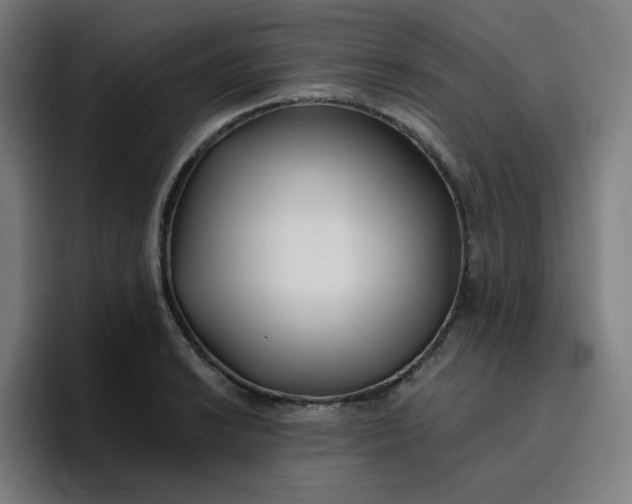 X0000096721038200802191524