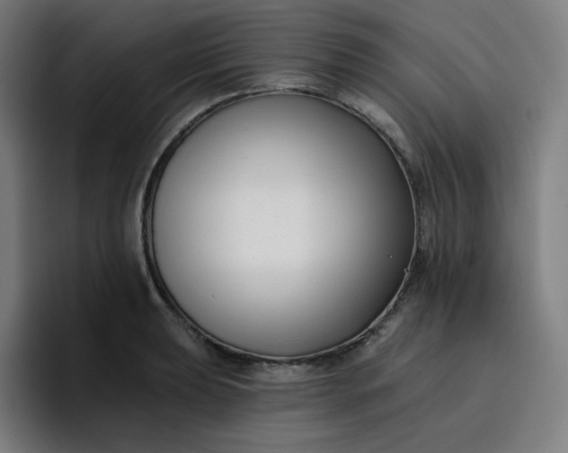 X0000096721039200802191524