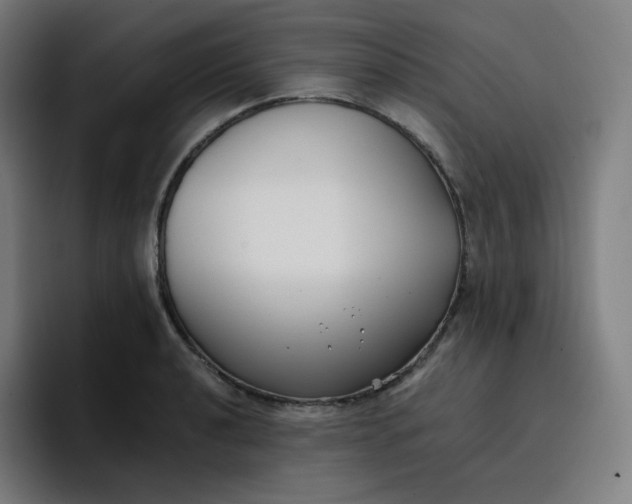 X0000096721040200802191524