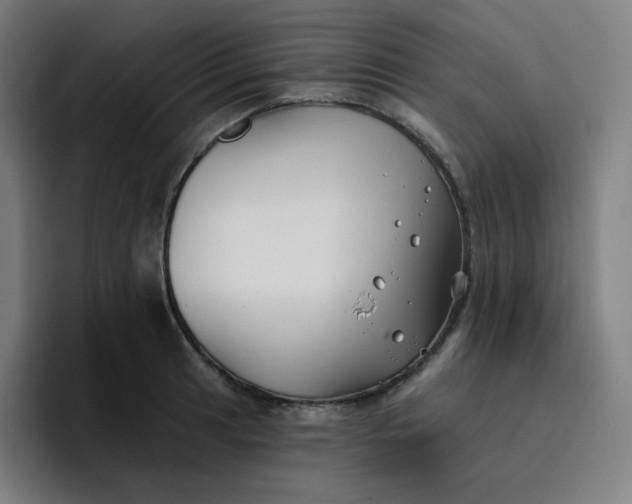 X0000096721041200802191524