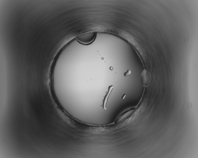 X0000096721042200802191524