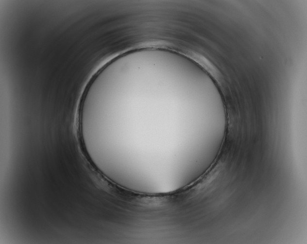 X0000096721044200802191524