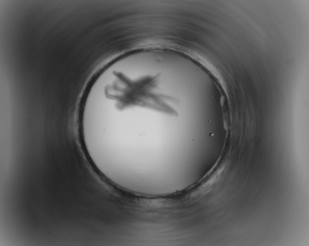 X0000096721045200802191524