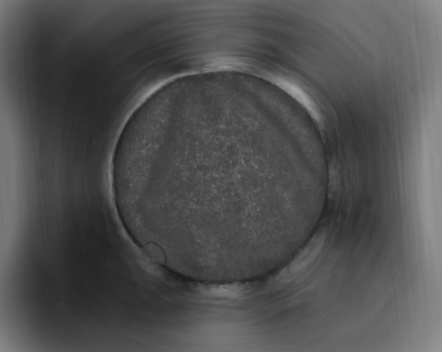 X0000096721047200802191524