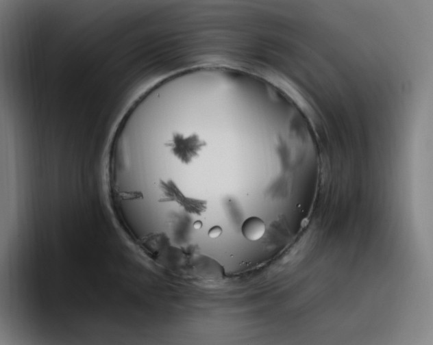 X0000096721048200802191524