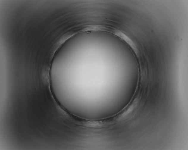 X0000096721049200802191524