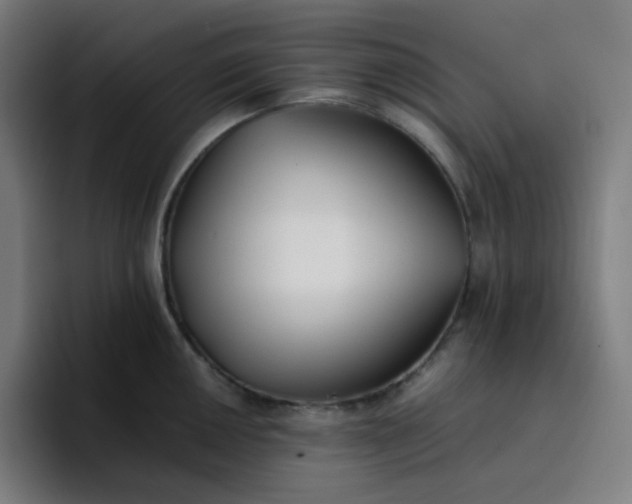 X0000096721050200802191524