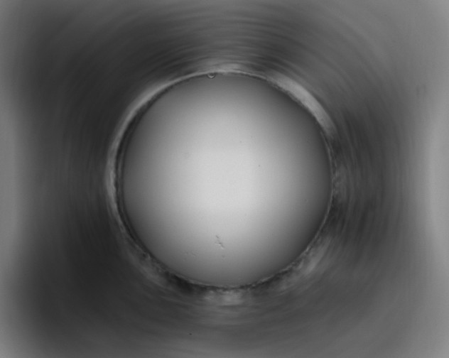 X0000096721051200802191524