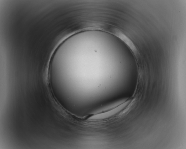 X0000096721052200802191524