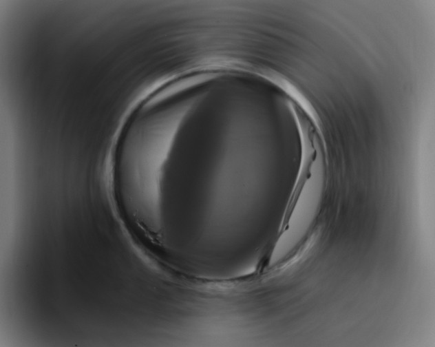 X0000096721053200802191524