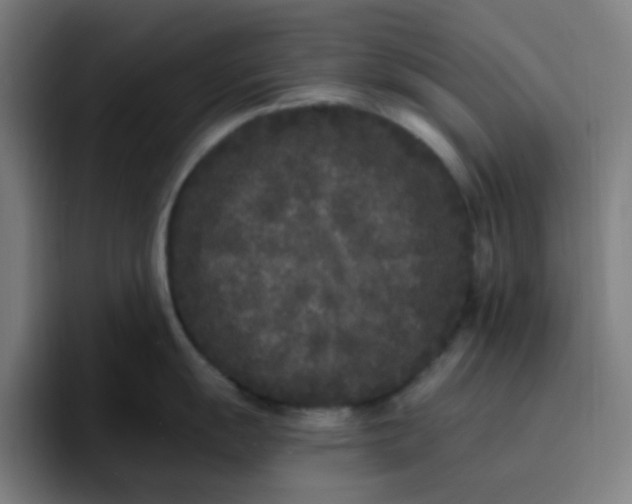 X0000096721055200802191524