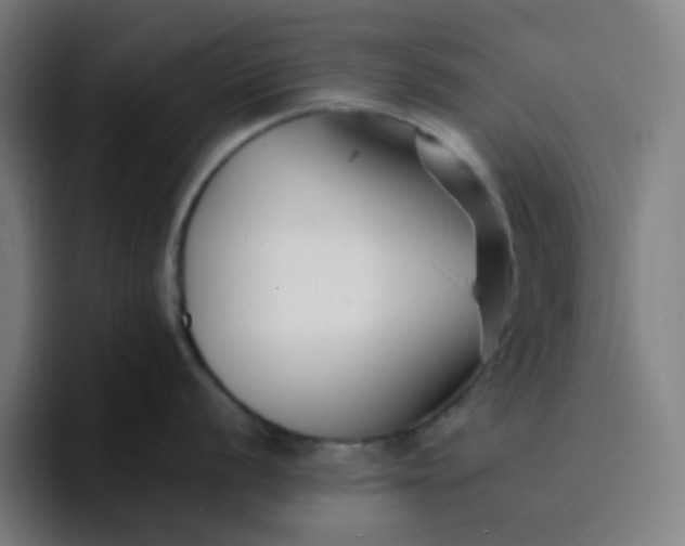 X0000096721056200802191524