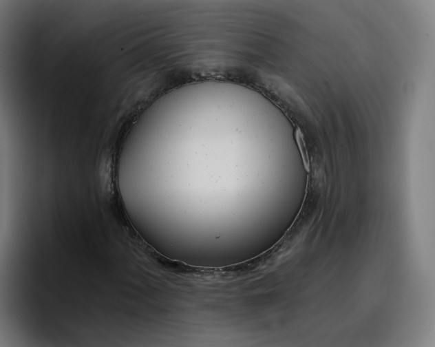 X0000096721060200802191524