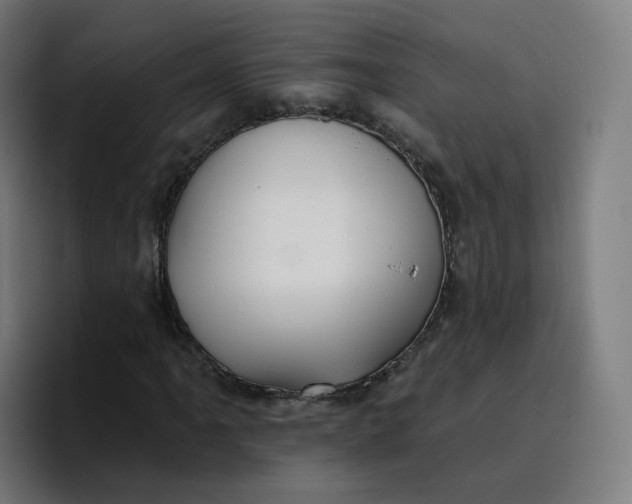 X0000096721061200802191524