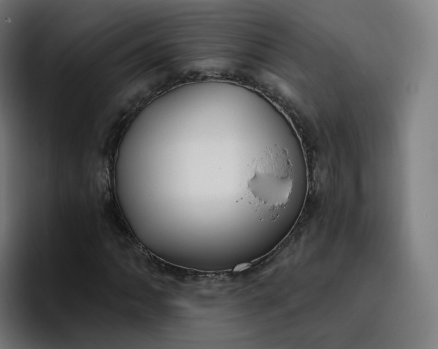 X0000096721062200802191524