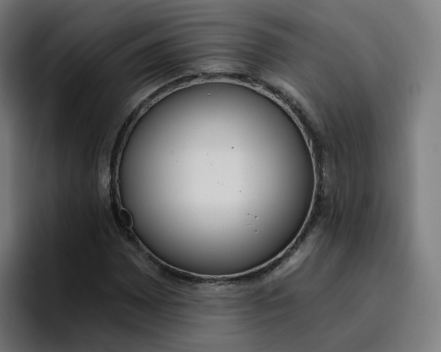 X0000096721065200802191524