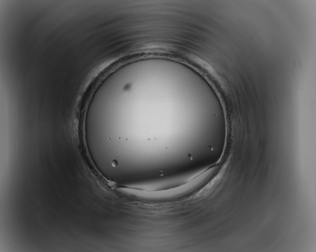 X0000096721066200802191524