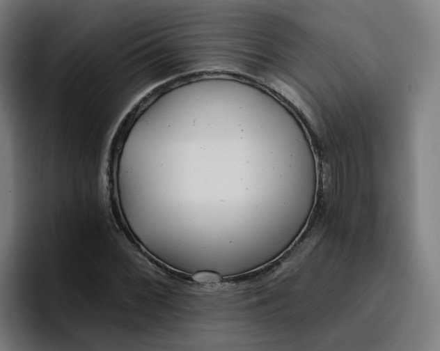 X0000096721068200802191524