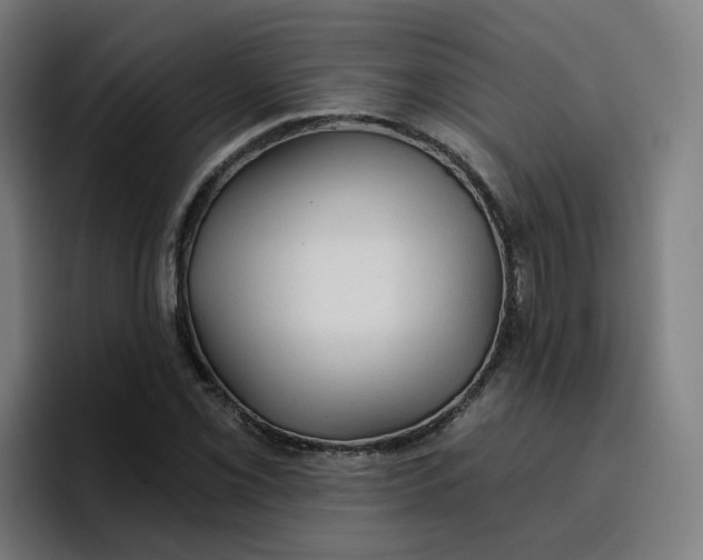 X0000096721069200802191524